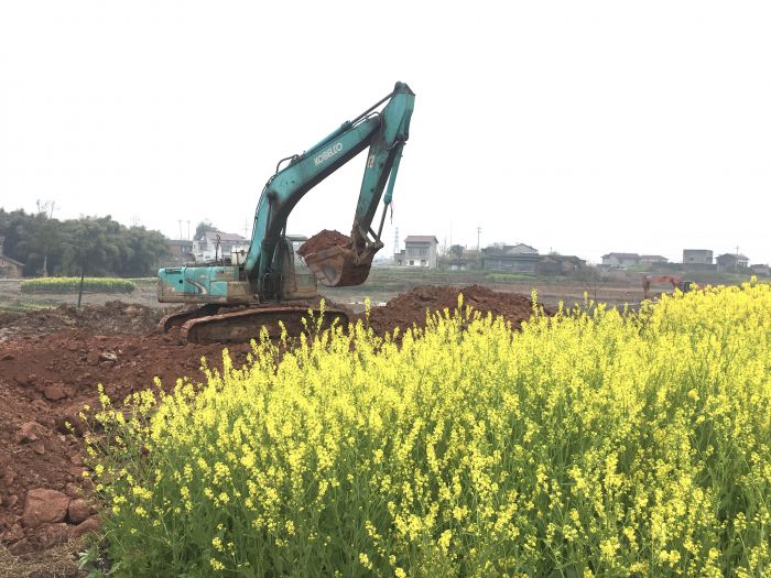 隆昌抢抓工期备春耕高标准农田建设施工忙