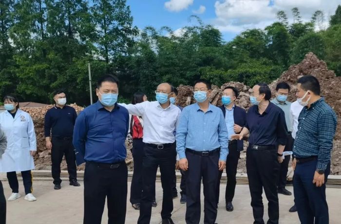 乐山市委常委,常务副市长赵迎春调研项目