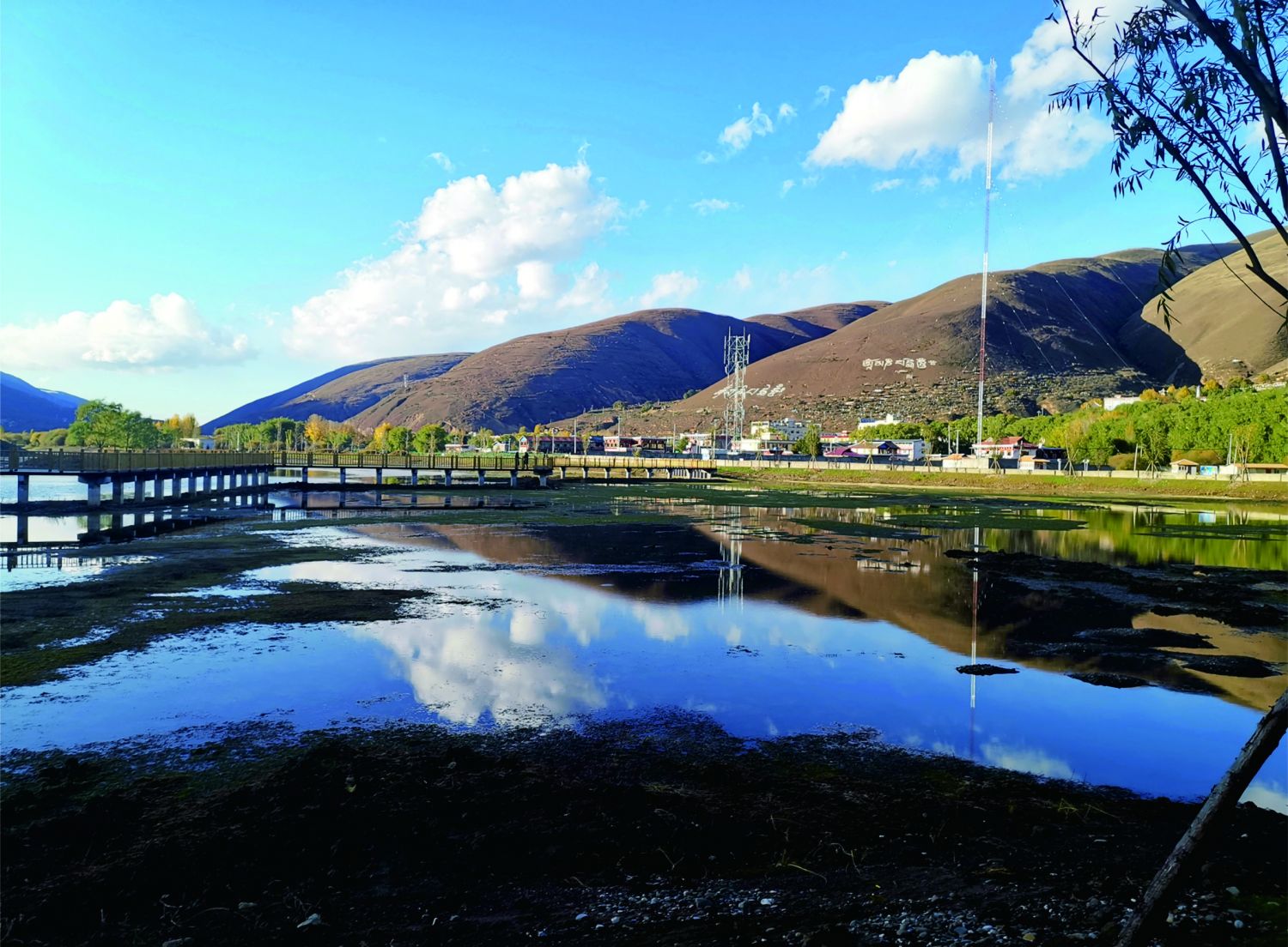 道坞湿地2.jpg