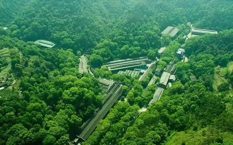 金喜来生态酿酒基地