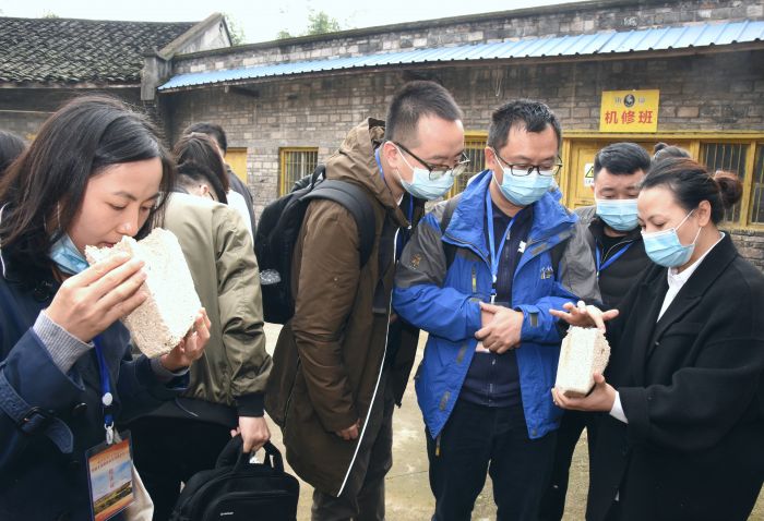 采风团一行了解恒生福制曲工艺