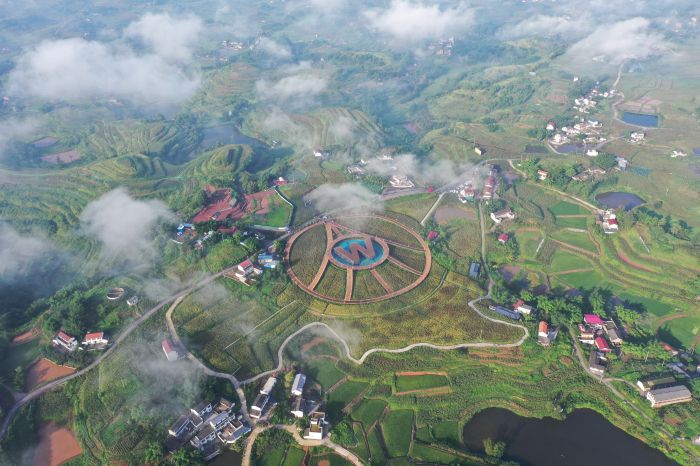 五粮液专用粮基地