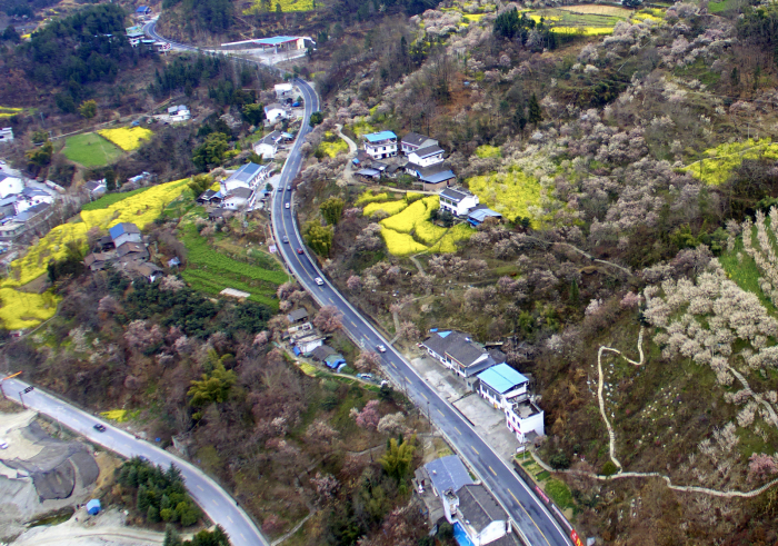 穿梭在花海的公路 （胡宇 摄）.png