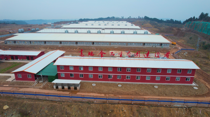 資中:推進生豬產業升級 廢舊礦區建起高端生豬養殖基地-四川經濟網