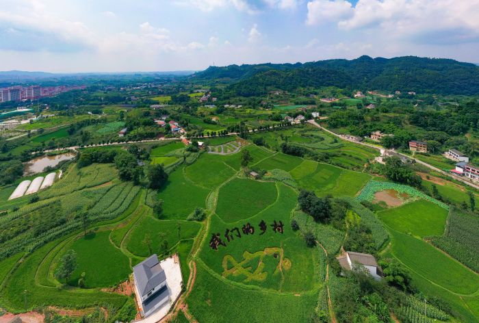 翠屏区李庄镇安石村图片