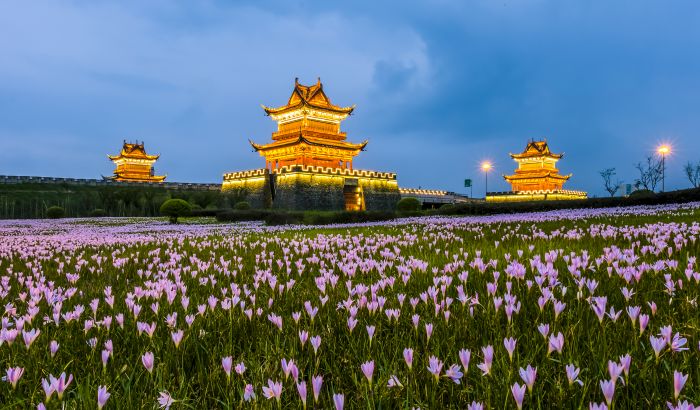 侯建明《东坡故里鲜花盛开》.jpg