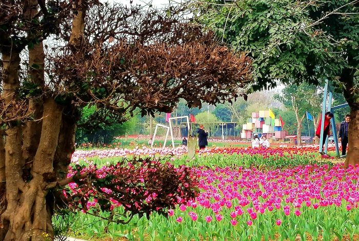 风景如画_.jpg