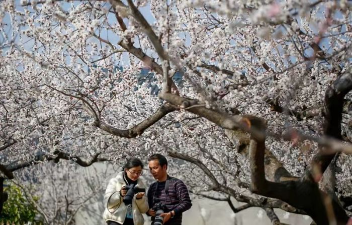图为，苍溪县摄影家协会会员户外创作采风活动（姚雪摄）.jpg