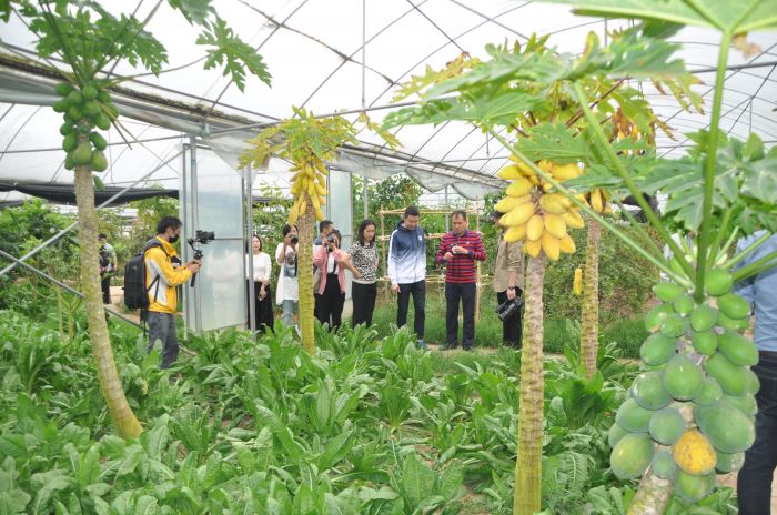 白象谷热带植物园
