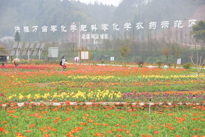 稻香湾景区一景 范自节 摄.jpg