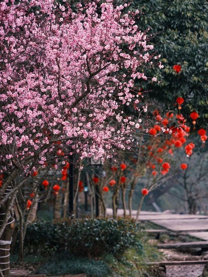 柳江古镇一景.jpg