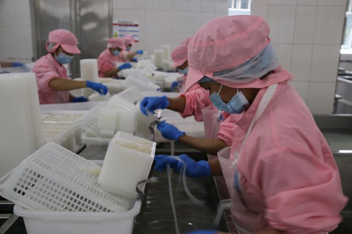 森态源生物科技有限公司员工正在生产车间忙碌