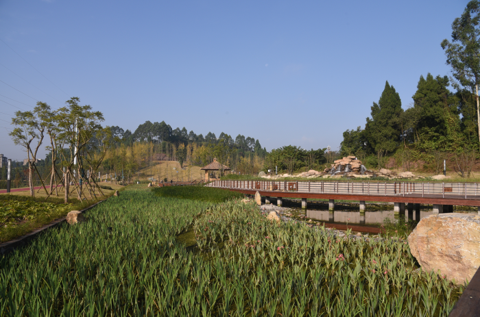 寿溪河湿地公园.png