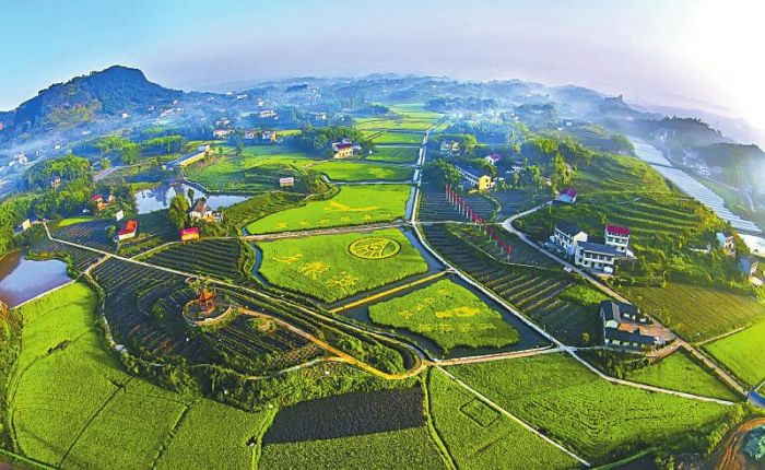 五粮液酿酒专用粮基地1