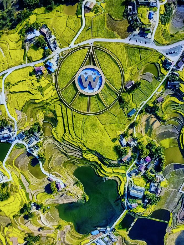五粮液酿酒专用粮基地2