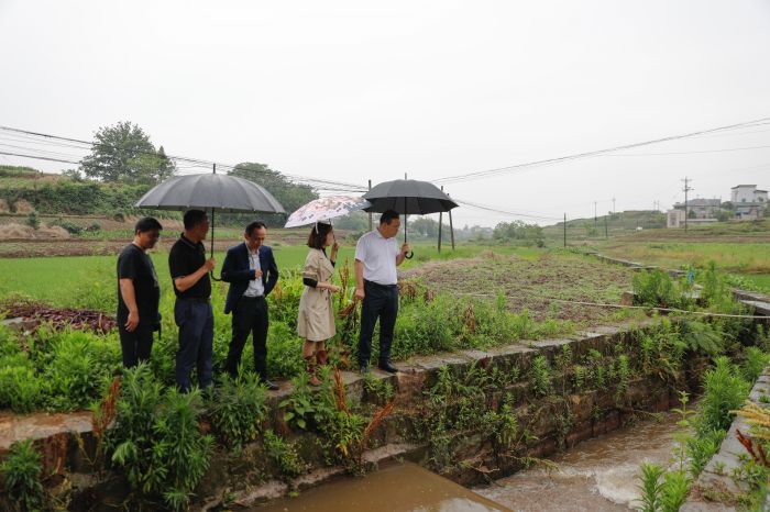 彭长林实地查看污水排放口水质等情况.jpg