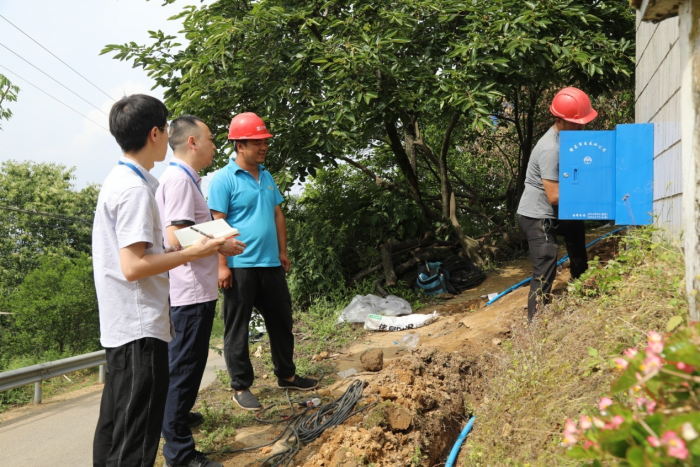 隆昌市圣灯镇纪委督查组在梨园村饮水安全项目施工现场查看入户管网安装情况。.png