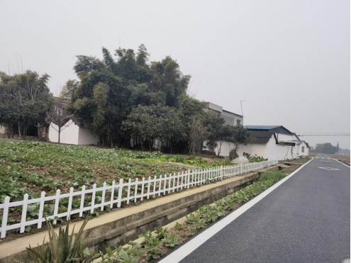 乡村振兴新风貌