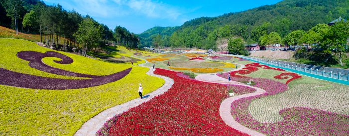 平乐花海 (12)摄影李建生.jpg