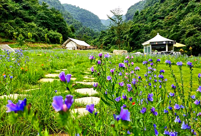 峨眉龙池四溪沟图片