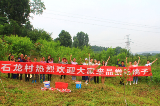 市民游客采摘桃子