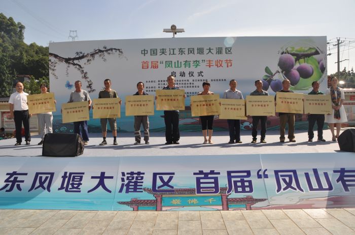 给李子种植能手颁奖