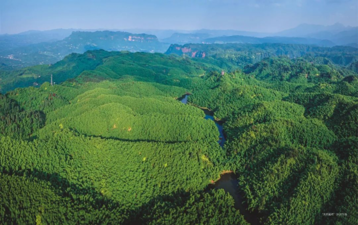 沐川竹海