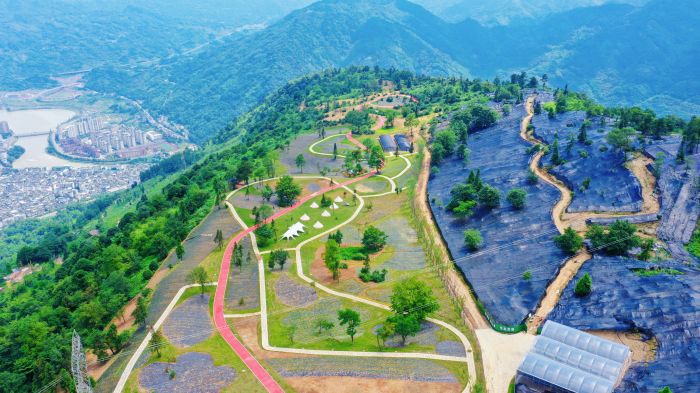 天全大岗山WechatIMG202.jpeg