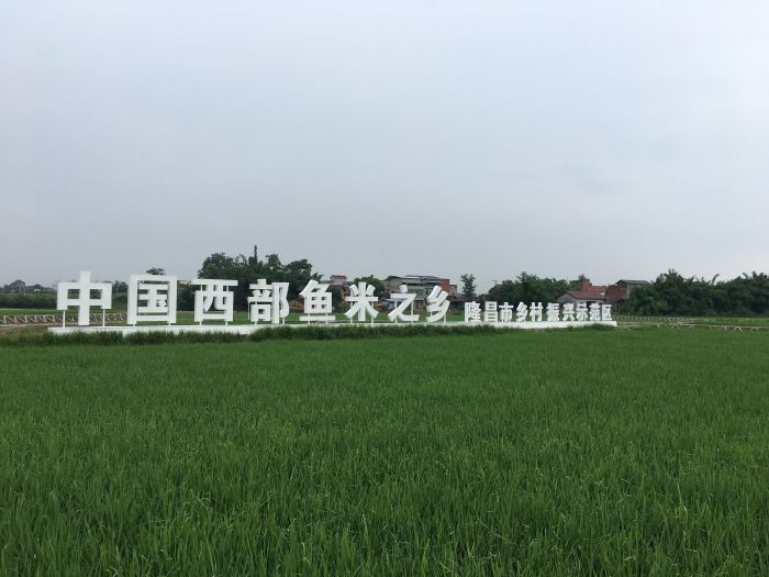 美丽稻虾田.jpg