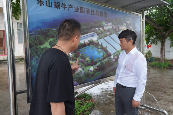 顺河村乡村振兴办主任黄冬华与工作人员讨论蜗牛产业园方案
