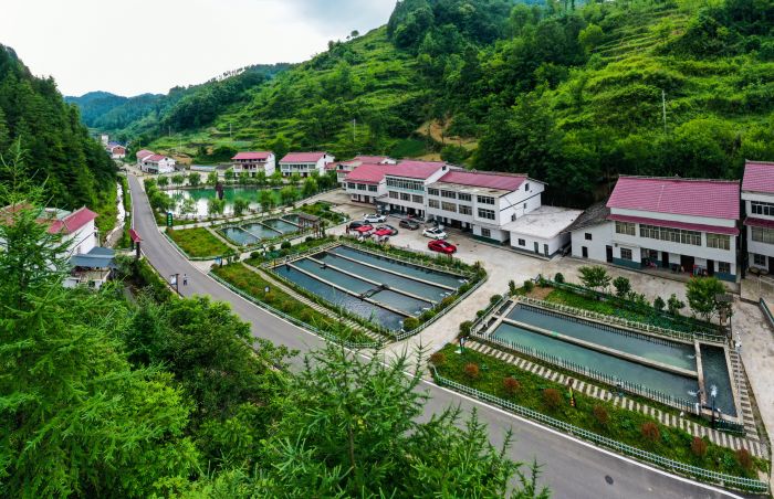 朝天区两河口镇高山冷水鱼养殖示范带  赵辉 摄.jpg