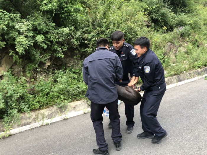 救助现场.jpg
