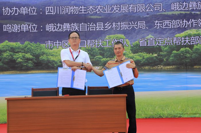 签约仪式