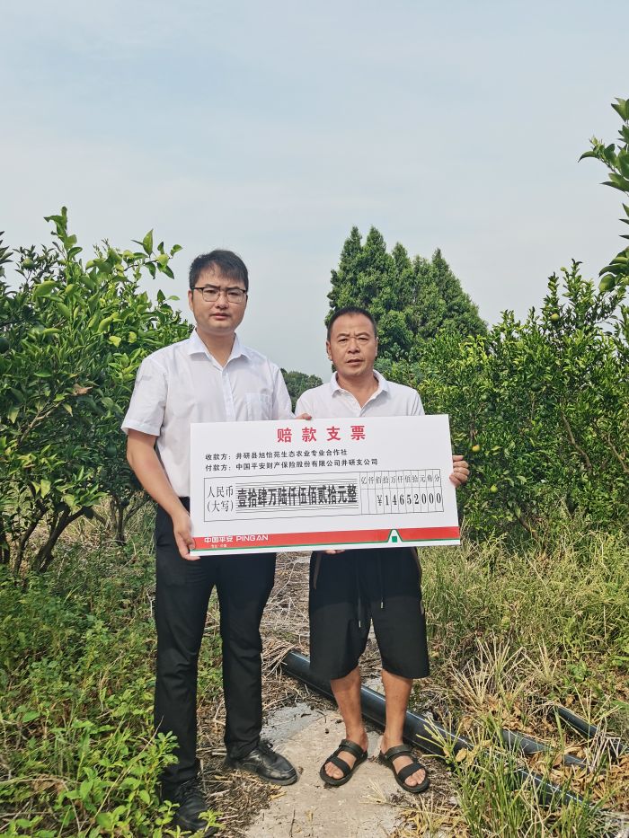 果农谢述君领到保险公司的赔付款