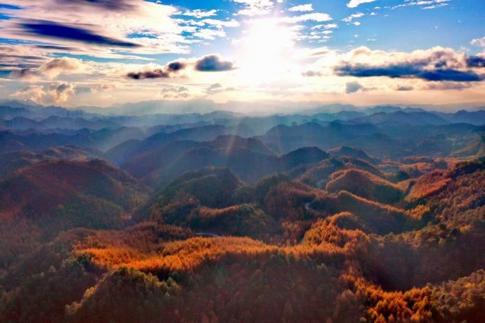 山野万里，红叶纷飞.jpg
