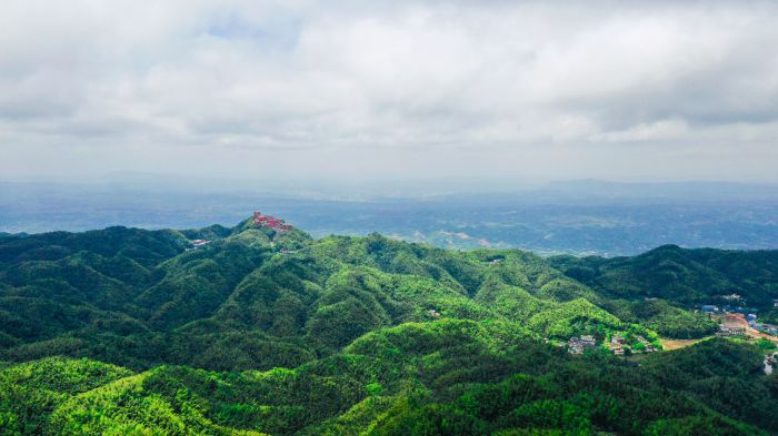 DJI_0504