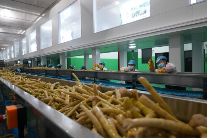 桐梓县方竹笋交易中心竹笋加工生产线图片4