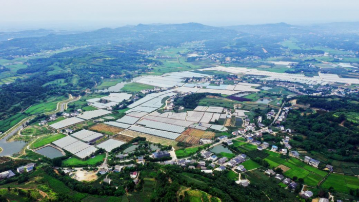 绵阳市分行支持“果满山川”现代农业园区建设项目.png