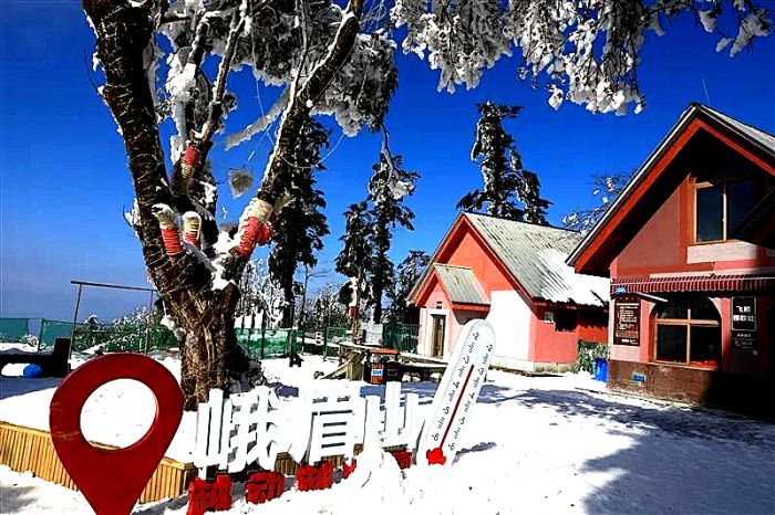 微信图片_20221226134411_副本.jpg