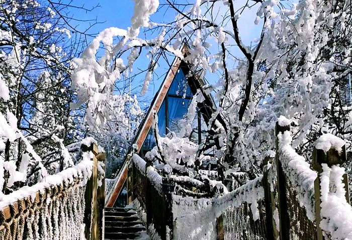 微信图片_20221226134153_副本.jpg