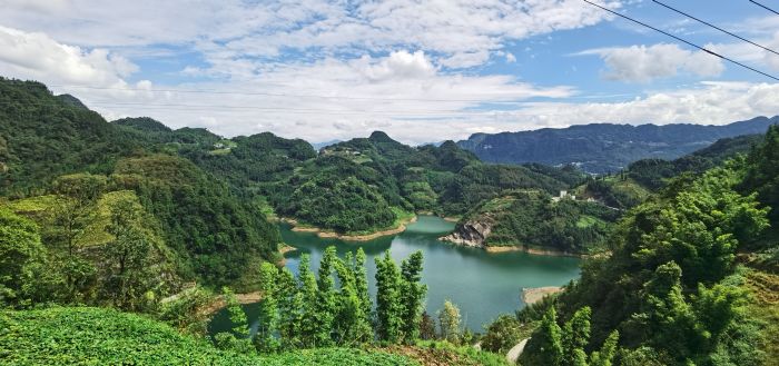新阳村的绿水青山