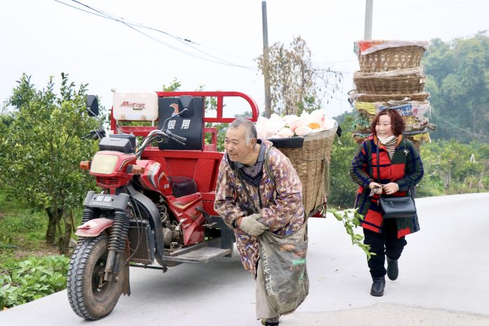 图片采摘.jpg