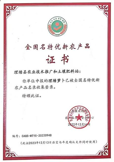 图为入选证书.png