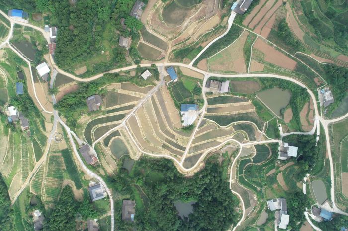 农发行四川省分行信贷支持的通江高标准农田建设项目.jpg