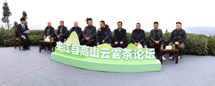 夹江县高山云雾茶论坛现场