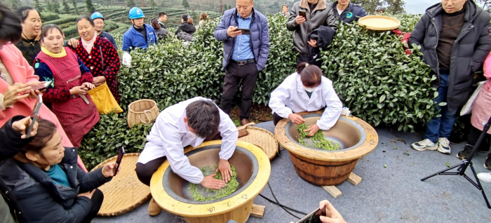 制茶展示