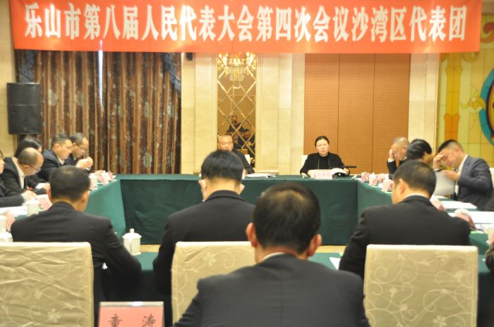 沙湾区代表团