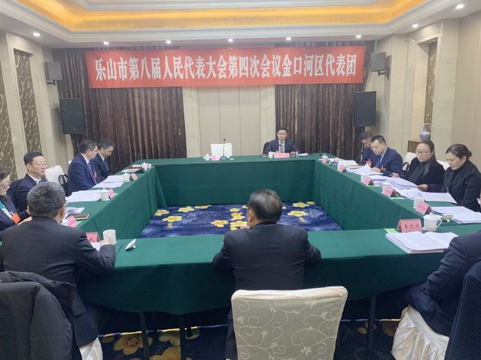 金口河区代表团