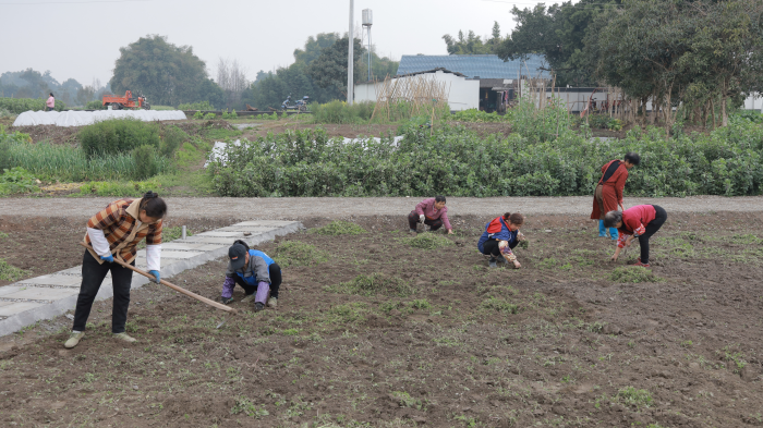 开心农场内，工人正在进行除草、翻地