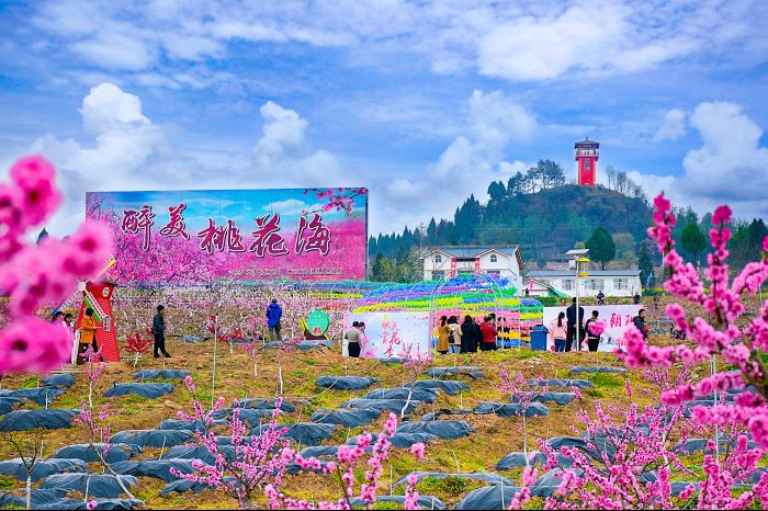 2..桃博园.jpg